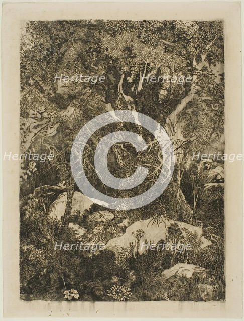 The Forest of Fontainebleau, 1880. Creator: Rodolphe Bresdin.