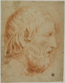 Classical Profile of Bearded Man, n.d. Creator: Unknown.