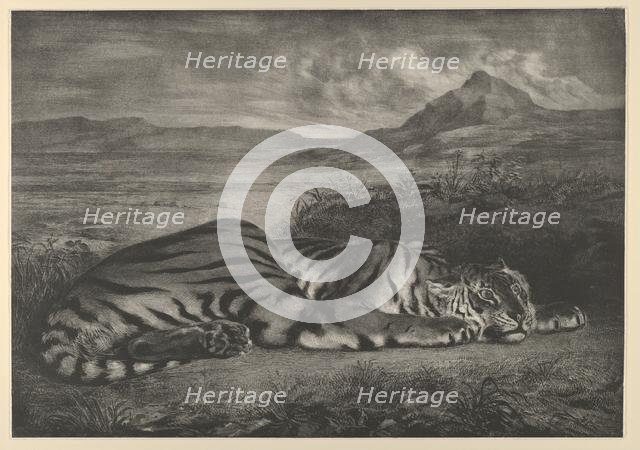 Royal Tiger, 1829., 1829. Creator: Eugene Delacroix.