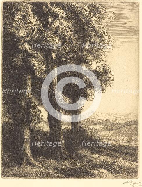 Corner of a Wood (Coin d'un bois). Creator: Alphonse Legros.
