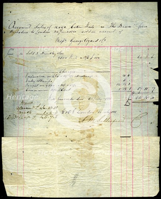 Coconut sales receipt, Barbados to London, 1881. Artist: Unknown