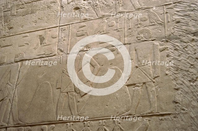 Agricultural scene relief, Mastaba of Kagemni, Saqqara, Egypt, Old Kingdom, 2350 BC (2003). Creator: Unknown.