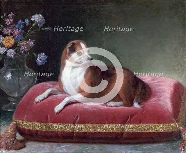 'The Bitch on a Cushion', c1694-1735. Artist: Jean Ranc