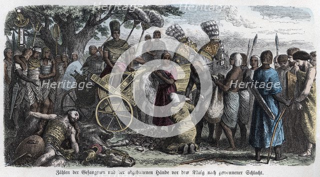 Ancient History. Egypt. Counting the hands cut to prisoners. German engraving, 1865.