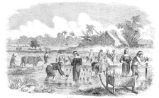 Planting Rice in Manilla, 1857. Creator: Unknown.