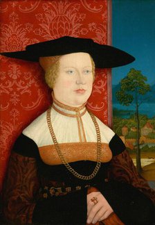 Margarethe Vöhlin, 1527. Creator: Bernhard Strigel.