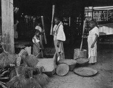 ''La preparation du riz aux Philippines; Les Terres Du Pacifique', 1914. Creator: Unknown.