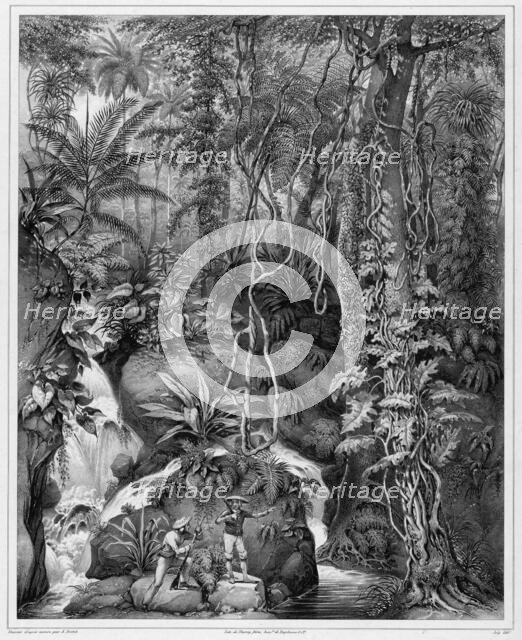 View of the Interior of Luzon Island, Philippine Islands, 19th century. Creators: Alexander Postels, Godefroy Engelmann.