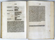 Pages of the 'Constitucions de Catalunya' (Catalonia Constitutions) on parchment, February 20th 1495 Creator: Unknown.