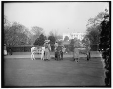 White House, between 1910 and 1920. Creator: Harris & Ewing.