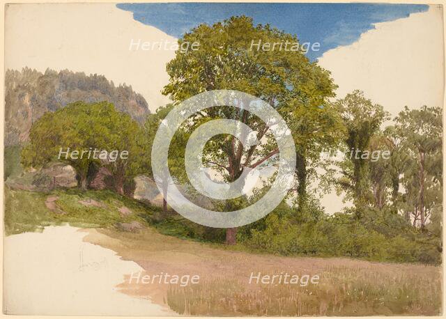 Trees Profiled against the Sky, c. 1865. Creator: John Henry Hill.