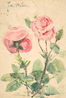 Two Roses, ca. 1884-1904. Creator: Zacharie Astruc.