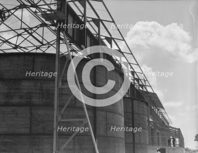 Turpentine still, Georgia, 1937. Creator: Dorothea Lange.