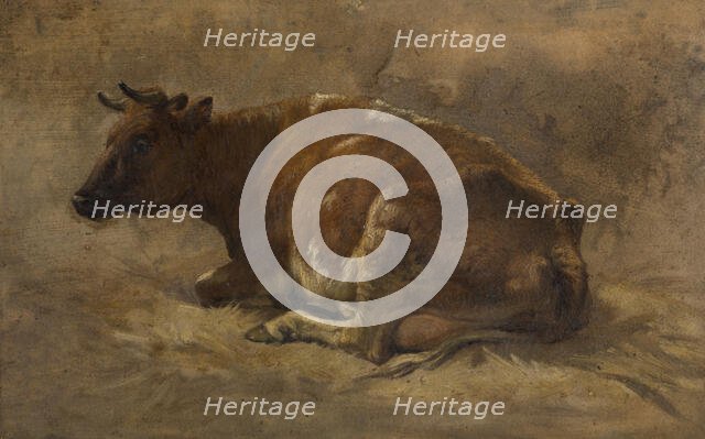 Cow, c1870s. Creator: Andre Plumot.