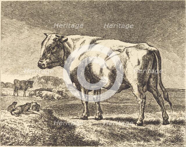 Cow. Creator: Unknown.