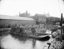 Waterman Abel Beesley on his punt full of bundles of rushes, Fisher Row, Oxford, Oxfordshire, 1901. Creator: Henry Taunt.