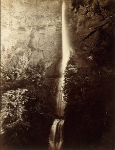 Multnomah Falls Cascade, Columbia River, 1867. Creator: Carleton Emmons Watkins.