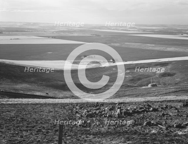 Looking down the newly plowed wheat fields of the Umatilla Valley, Oregon, 1939. Creator: Dorothea Lange.