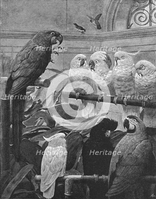 ''Pictures of the Year - V." A Select Committee", after HS Marks, RA', 1891. Creator: Unknown.