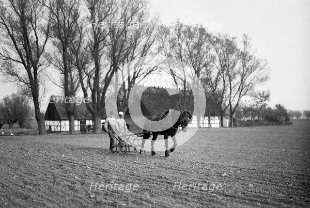 Harrowing, the Isle of Ven, Sweden, 1925. Artist: Unknown