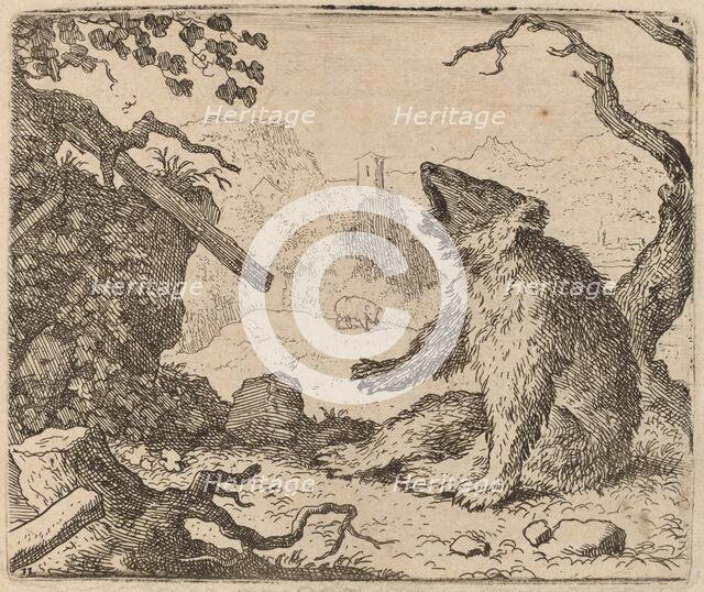 The Bear Sent as Messenger, probably c. 1645/1656. Creator: Allart van Everdingen.