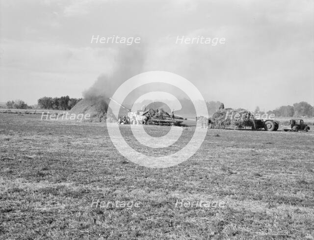 Threshing red clover for seed on older settler's ranch, near Ontario, Oregon, 1939. Creator: Dorothea Lange.