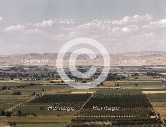 Cherry orchards, farm lands and irrigation ditch at Emmett, Idaho, 1941. Creator: Russell Lee.