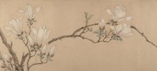 Magnolia, dated 1549. Creator: Unknown.