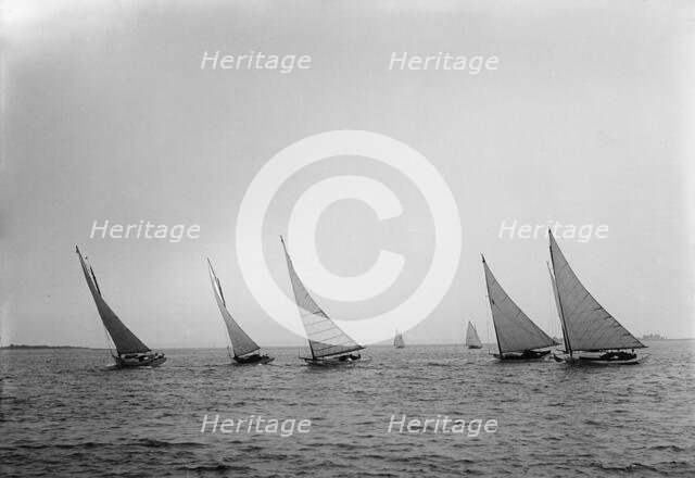 Cabin cats after start, 1898 July 30. Creator: Unknown.