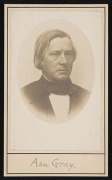 Portrait of Asa Gray (1810-1888), Before 1876. Creator: Unknown.
