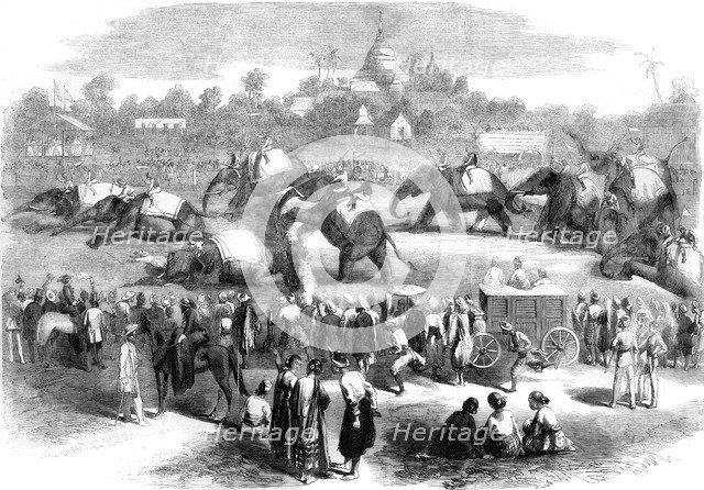 Elephant steeplechase at Rangoon, Burma, 19th century(?). Artist: Unknown