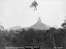 Glasshouse Mountains, Ngungun, Coonowrin and Tibberoowuccum, 1894. Creator: Unknown.
