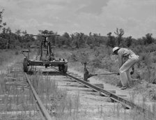 Pulling out the railroad tracks which lead to the closed sawmill, Careyville, Florida, 1937. Creator: Dorothea Lange.