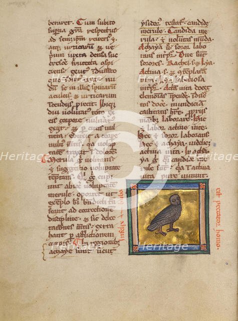 An Eagle Owl; Bestiary, about 1270. Creator: Unknown.