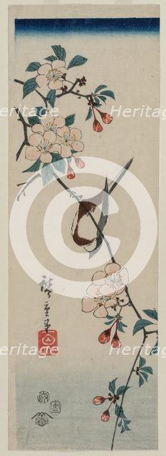 Small Bird (Swallow ?) on Cherry Branch, 1854. Creator: Ando Hiroshige (Japanese, 1797-1858).