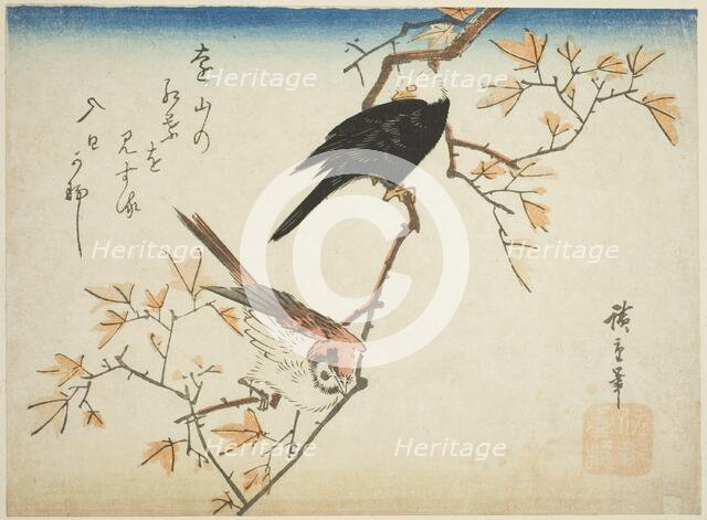 Two birds on maple branch, 1830s. Creator: Ando Hiroshige.