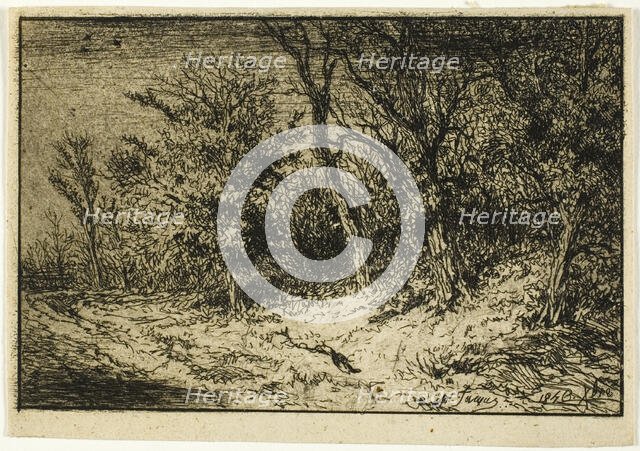 Road at the Edge of a Wood, 1846. Creator: Charles Emile Jacque.