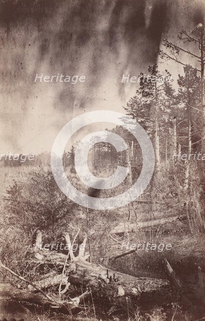 The Wilderness Battlefield, 1864. Creator: Unknown.