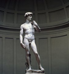 Michelangelo's David, 16th century. Artist: Michelangelo Buonarroti