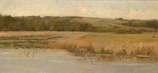 Hill and Marshland, late 19th-early 20th century. Creator: Max Weyl.