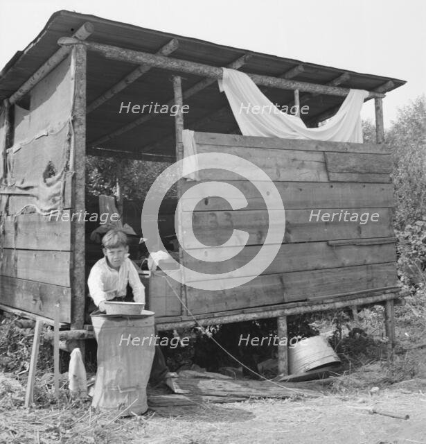 Grower provides fourteen such shacks in a row..., near Grants Pass, Josephine County, Oregon, 1939. Creator: Dorothea Lange.