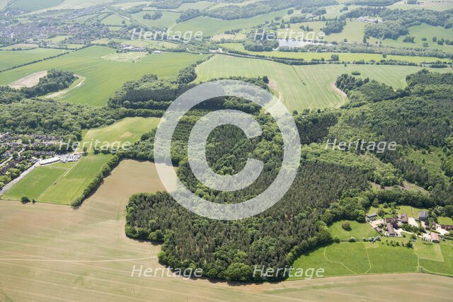 Weedonhill Wood, Shardeloes, Amersham, Buckinghamshire, 2018 Creator: Historic England.
