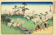 Asukayama Hanami (Cherry Blossom Viewing at Asukayama), 1950. Creator: Ando Hiroshige.