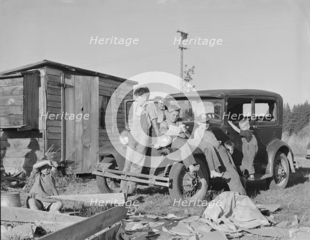 Bean pickers' children came from Kansas, Nebraska..., near West Stayton, Marion County, Oregon, 1939 Creator: Dorothea Lange.