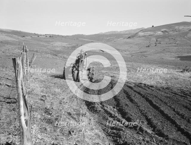 Young farmer, member of Ola self-help sawmill co-op, plowing..., Gem County, Idaho, 1939. Creator: Dorothea Lange.
