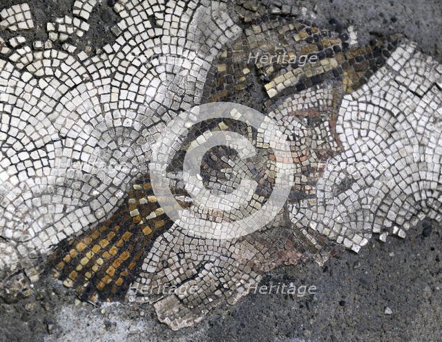 Head of a young rustic...mosaic pavement in the Great Palace of Constantinople, 4th-6th century. Creator: Unknown.