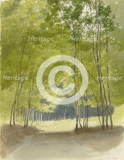 Forest path, 1863. Creator: Carl Theodor Reiffenstein.