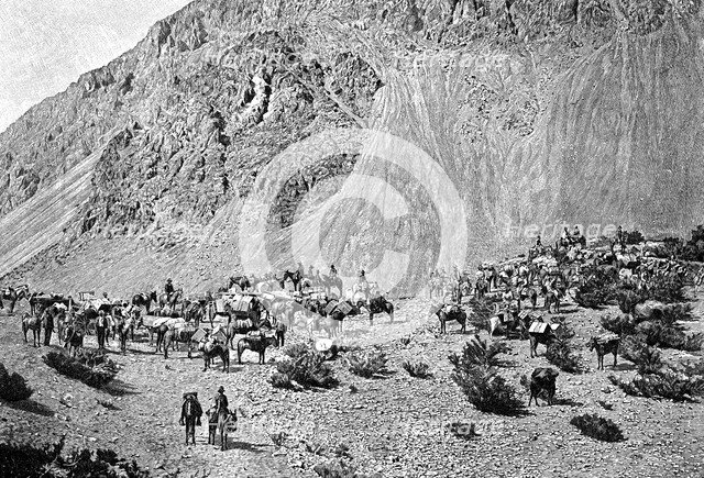 Convoy of muleteers at the foot of the Cordillera, South America, 1895. Artist: Unknown