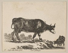 Plate 7: cow, from 'Various animals' (Diversi animali), ca. 1641. Creator: Stefano della Bella.