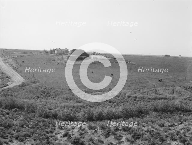 Landscape showing home of FSA borrower..., Nyssa Heights, Malheur County, Oregon, 1939. Creator: Dorothea Lange.
